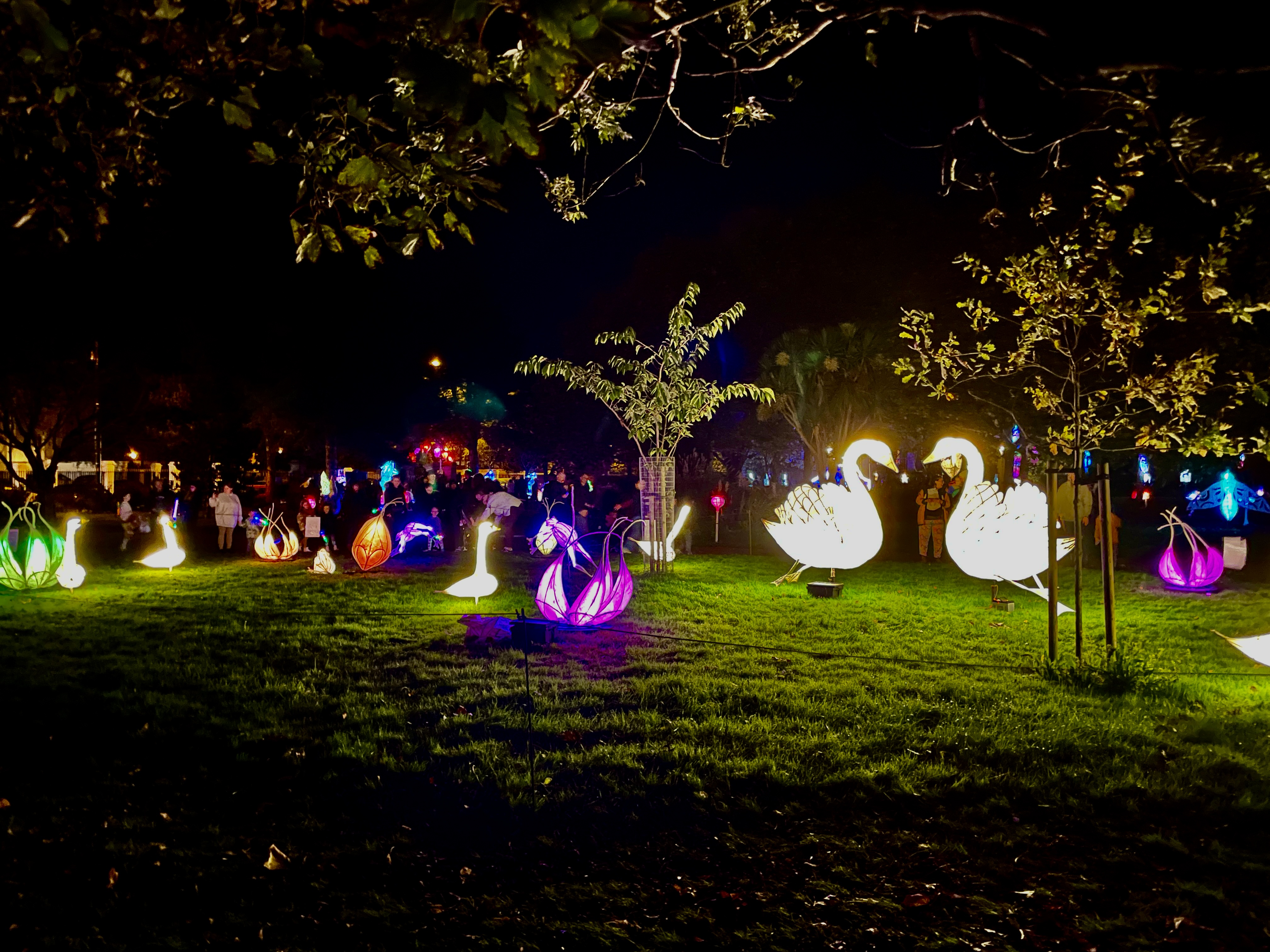 Jack on the Green Lights Up Beach House Park with Magical Art Installations